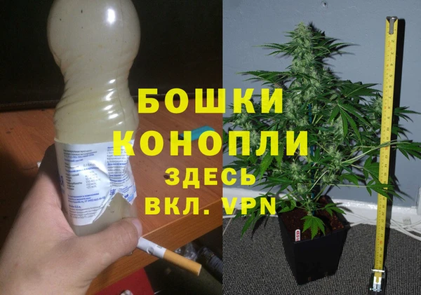 стафф Абаза