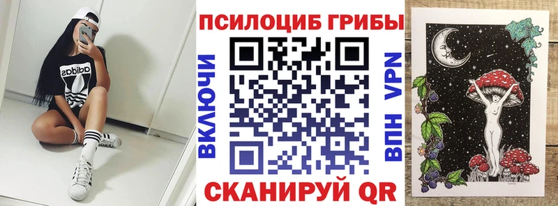 блэк спрут рабочий сайт  маркетплейс как зайти  Приволжск  Галлюциногенные грибы Psilocybine cubensis  закладка 